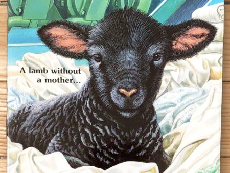 Lamb in the Laundry by Ben M. Baglio Supply