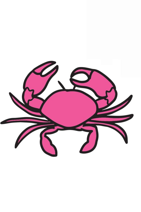 Trendy Sticker - Crab Pink For Sale