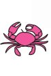 Trendy Sticker - Crab Pink For Sale