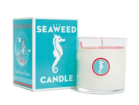 Swedish Dream Candle - Seaweed Cheap