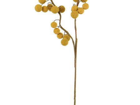 Botanical Beauty Floral Stem 2442 For Cheap