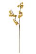 Botanical Beauty Floral Stem 2442 For Cheap