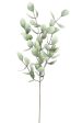 Botanical Sandollar Sage Stem 875 Hot on Sale