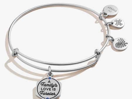 A Family s Love is Forever  Charm Bangle Hot on Sale