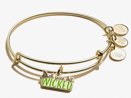 A Wee Bit Wicked  Charm Bangle Online Hot Sale