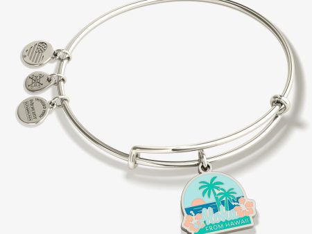 Aloha Hawaii Charm Bangle Bracelet Online now