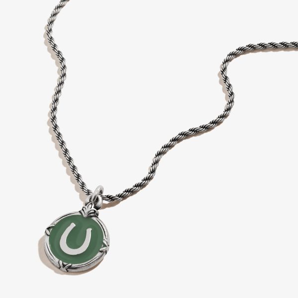 Token of Luck Horseshoe Charm Necklace Supply