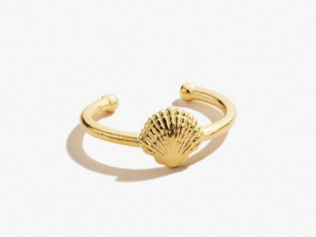 Scallop Shell Toe Ring Fashion